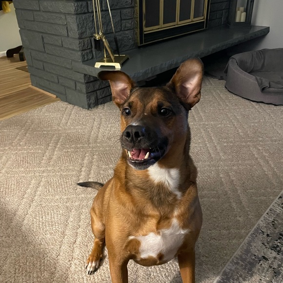 Meet your Posher, Bri - Picture 2 of 7